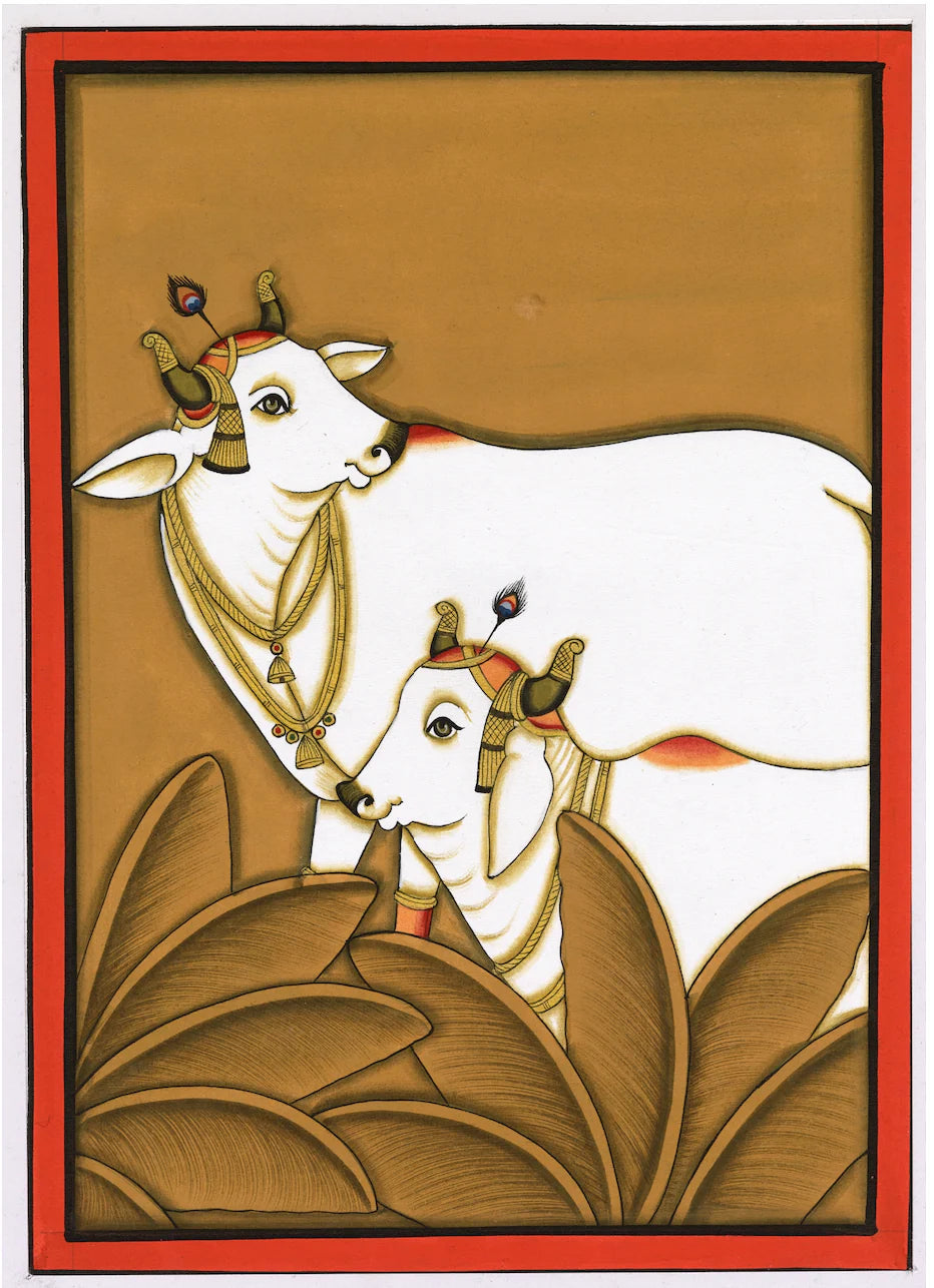 Kamdhenu Cows Around Palm