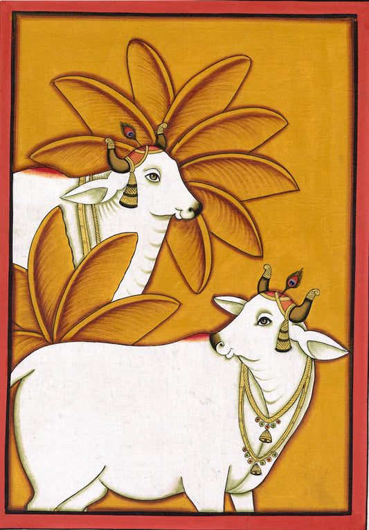 Kamdhenu Cows Around Palm Tree