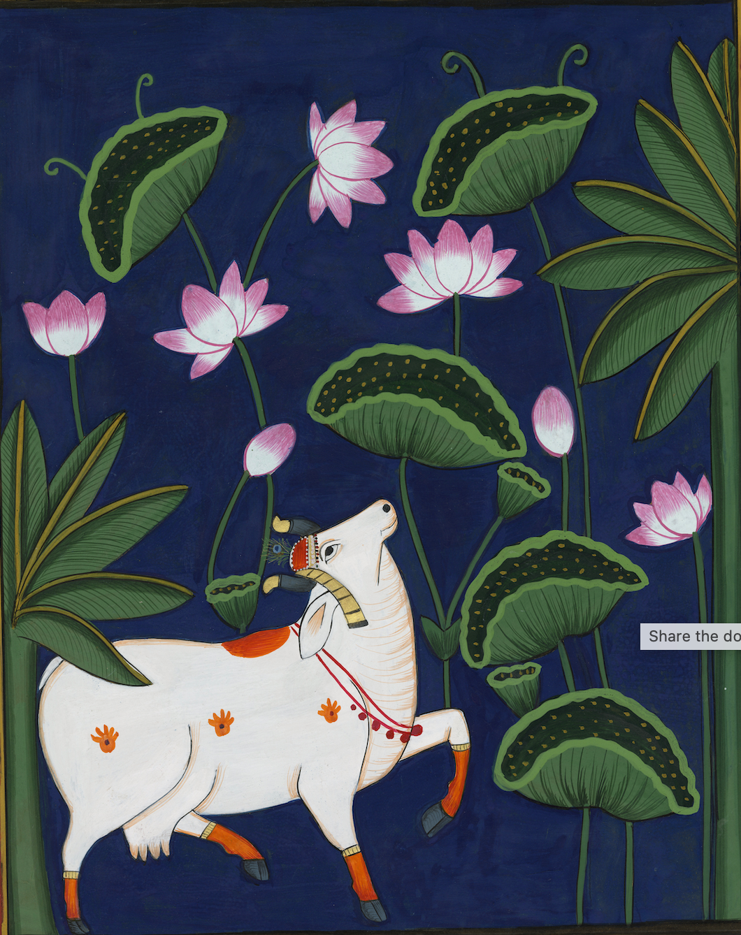 Kamdhenu around Lotus - Nakhrro