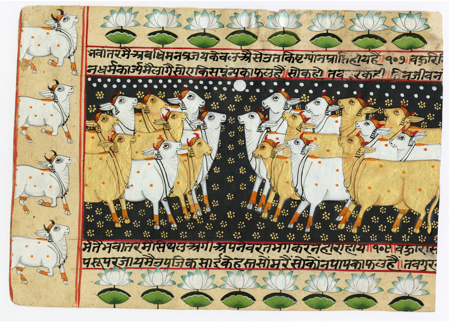 Sanskrit Ancient Text Kamdhenu Black Pichwai - Nakhrro