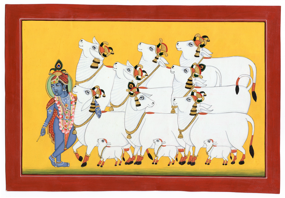 Krishna Ji With Kamdhenu Cows Of Pichwai - Nakhrro