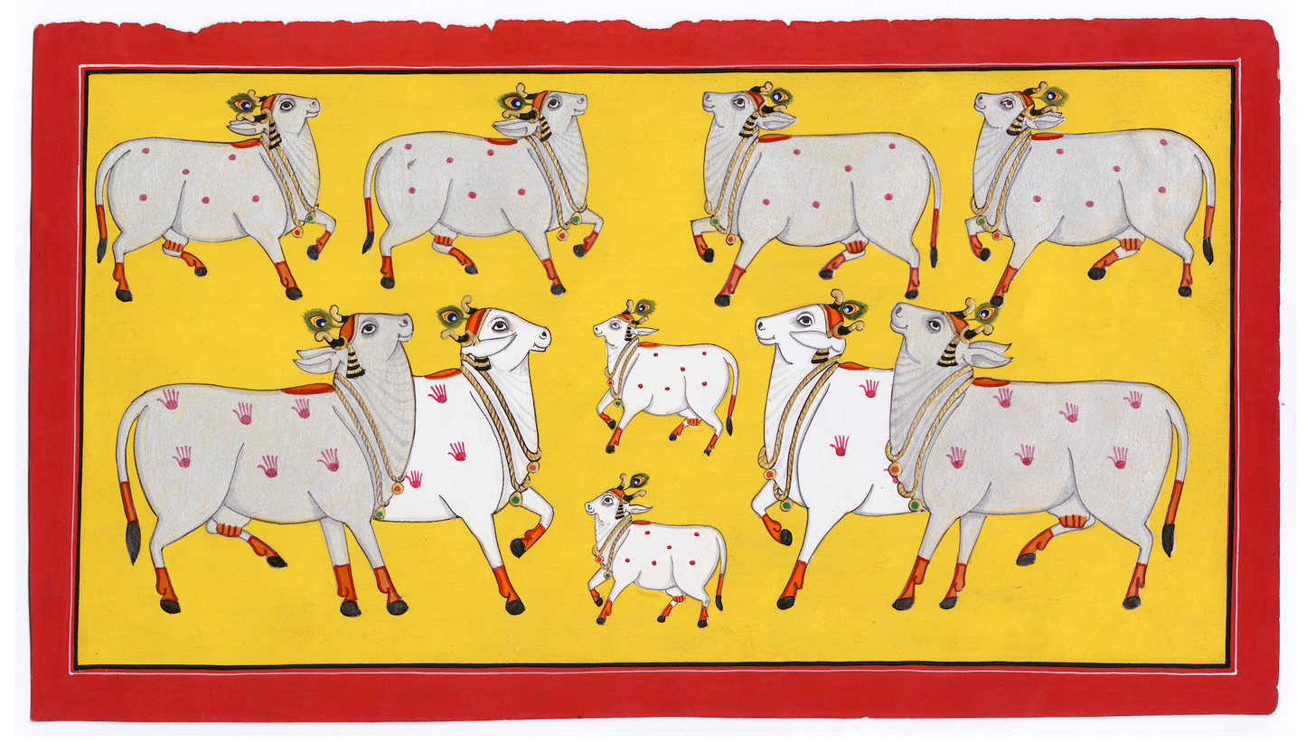 Yellow Kamdhenu Cows Of Pichwai - Nakhrro
