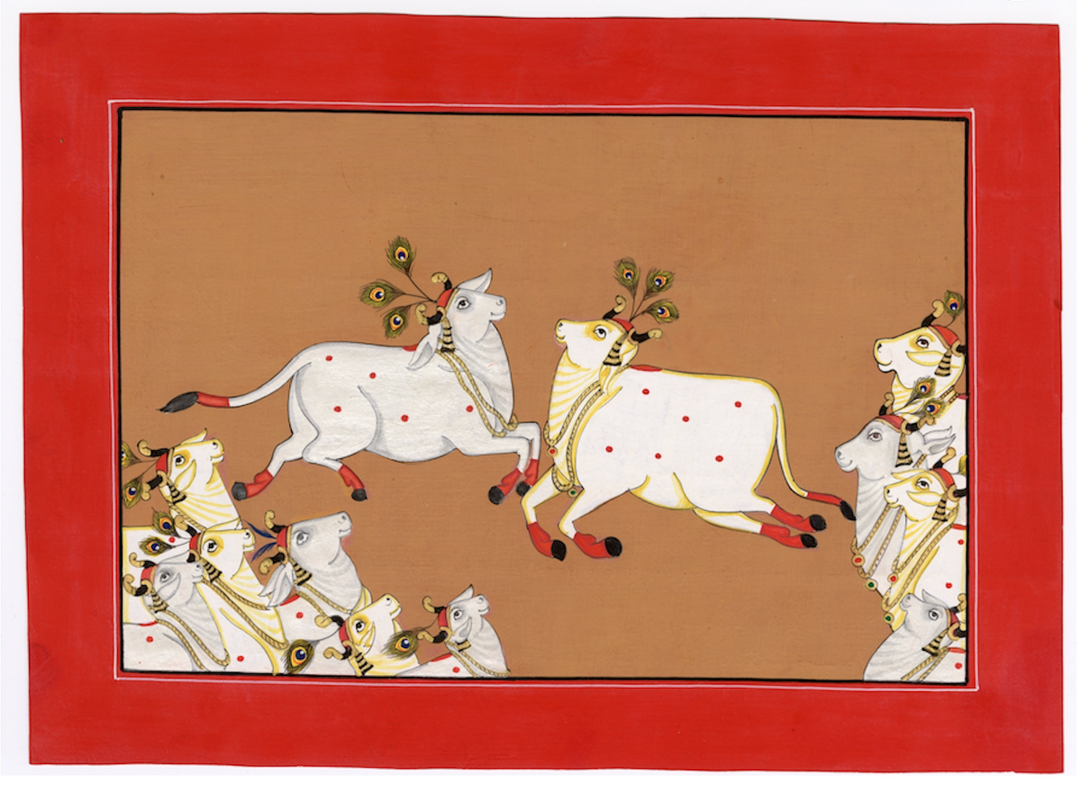 Flying Cows Of Pichwai - Nakhrro