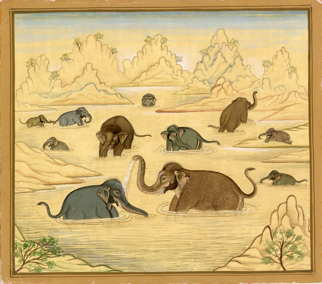 Bath Of Elephants - Nakhrro