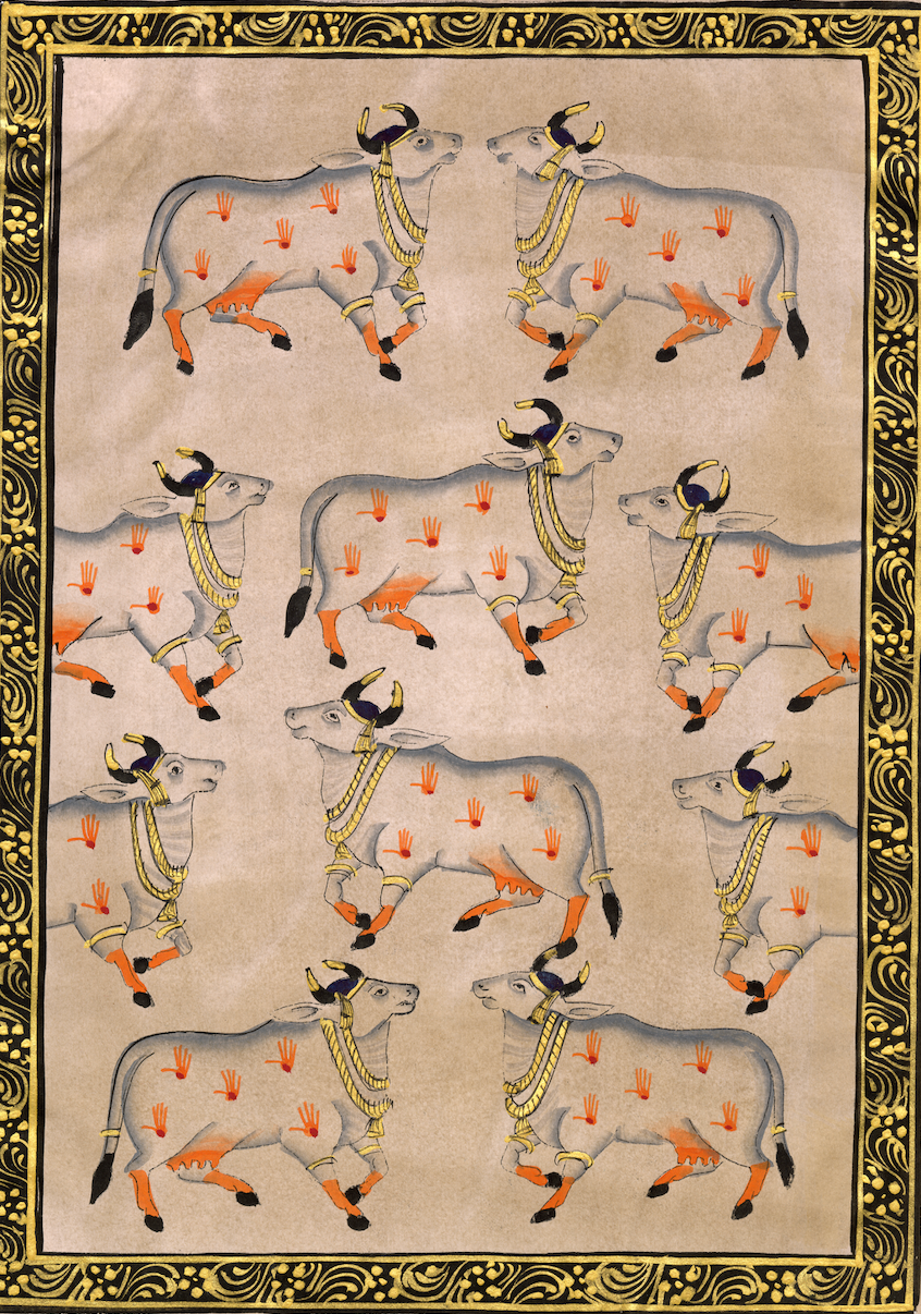 Cows Of Pichwai - Nakhrro