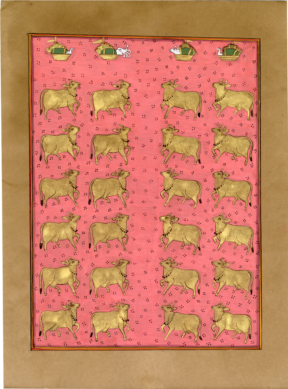 Pink Gold Cows Of Pichwai - Nakhrro