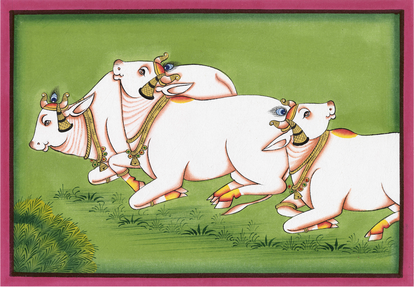 Family Of Kamdhenu Cow - Nakhrro