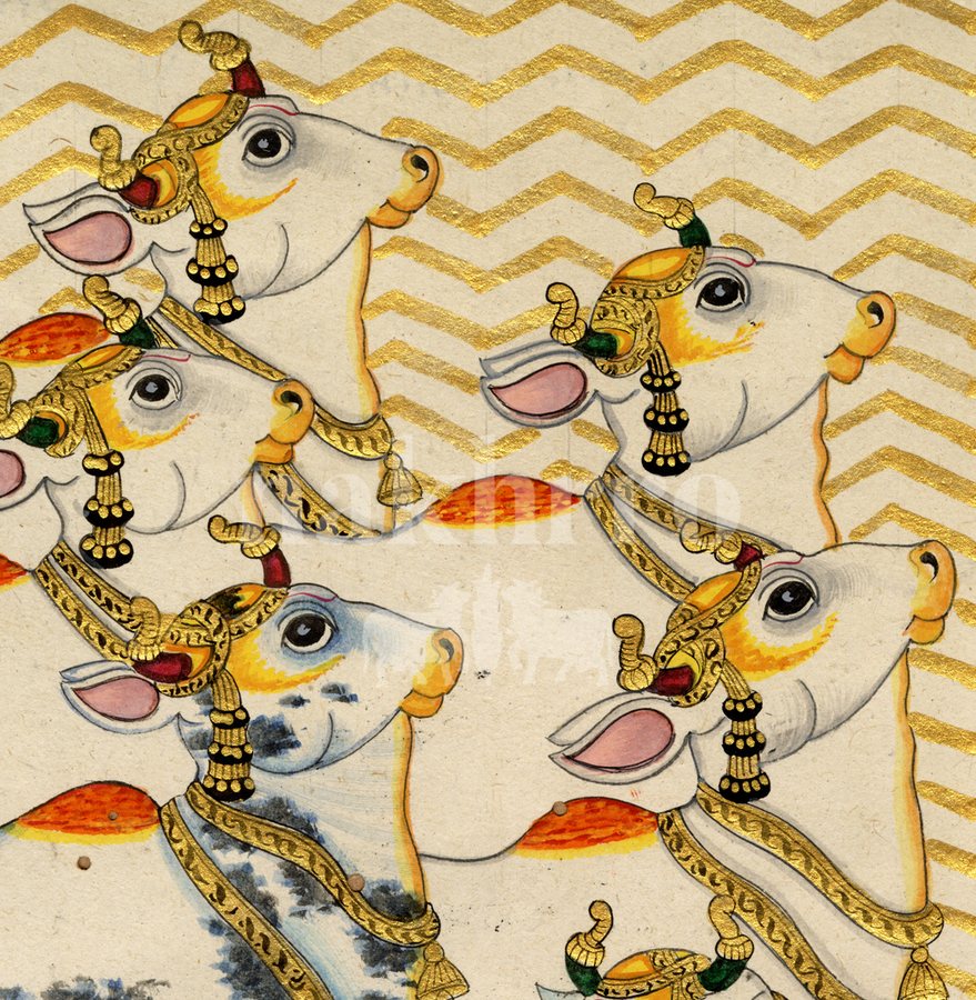 right facing sacred cows detail 1 | Nakhrro museum-grade archival print