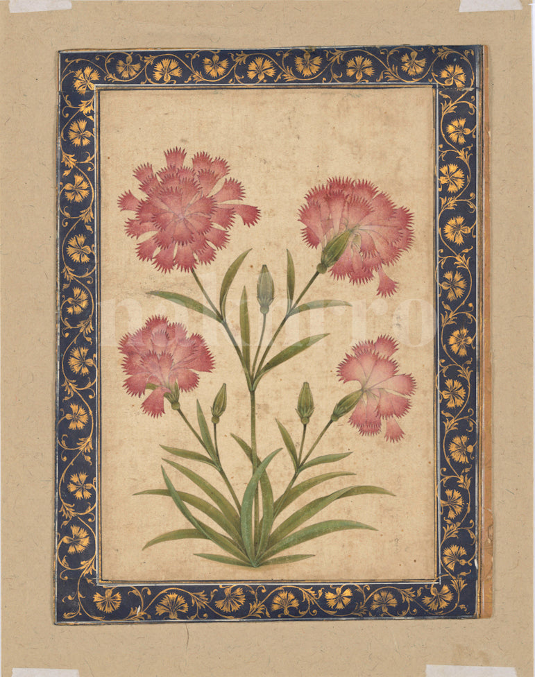Mughal floral botanical miniature artwork