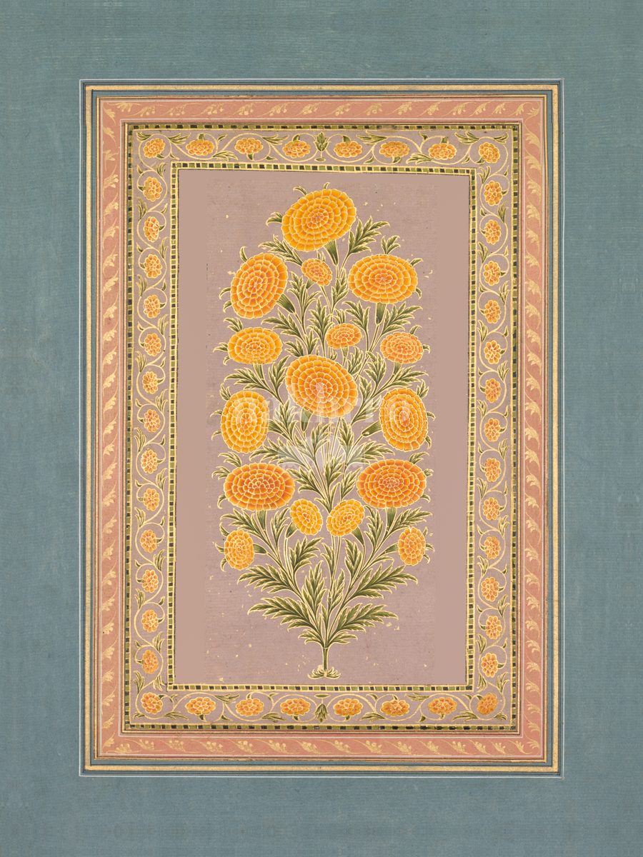 Genda — Marigold Mughal-inspired floral art print