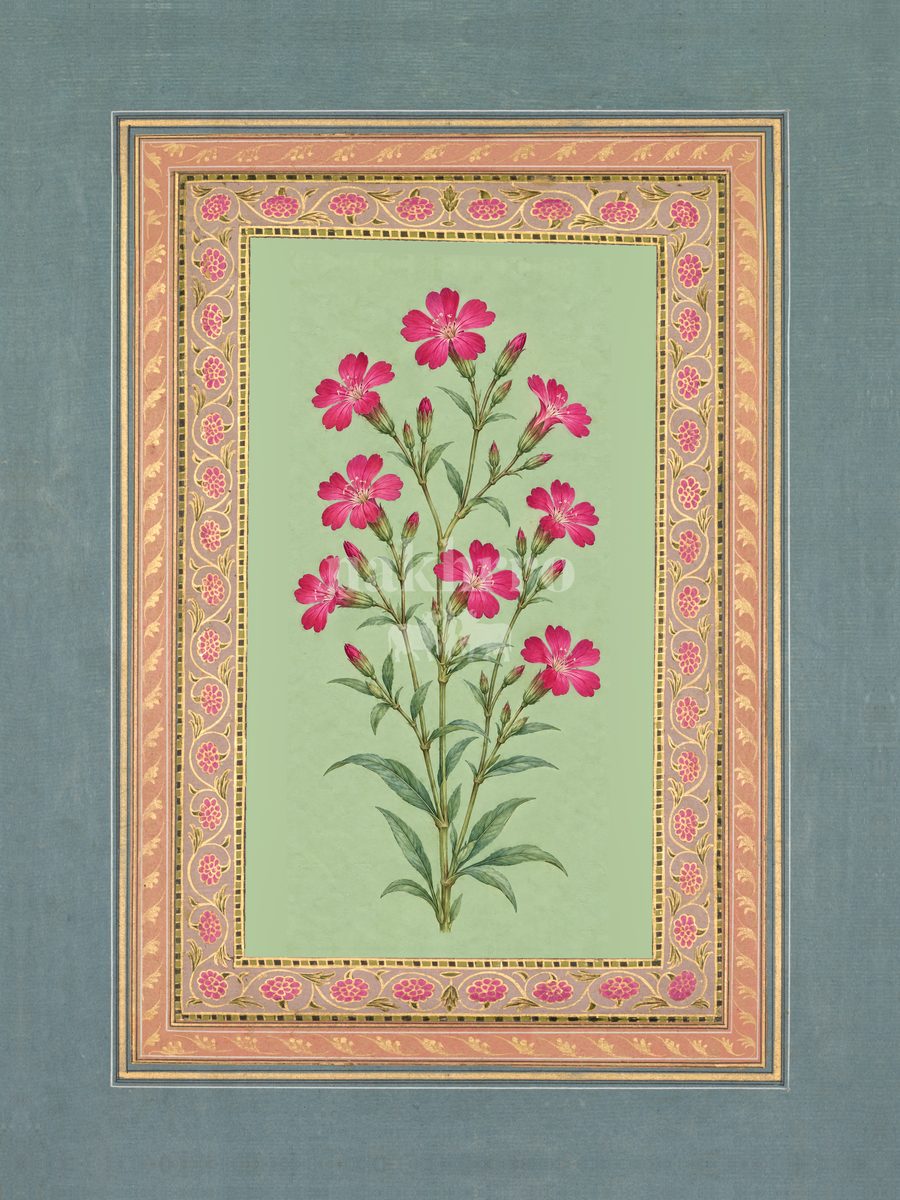 Gulabi Raunak — Rose Campion Mughal-inspired floral art print