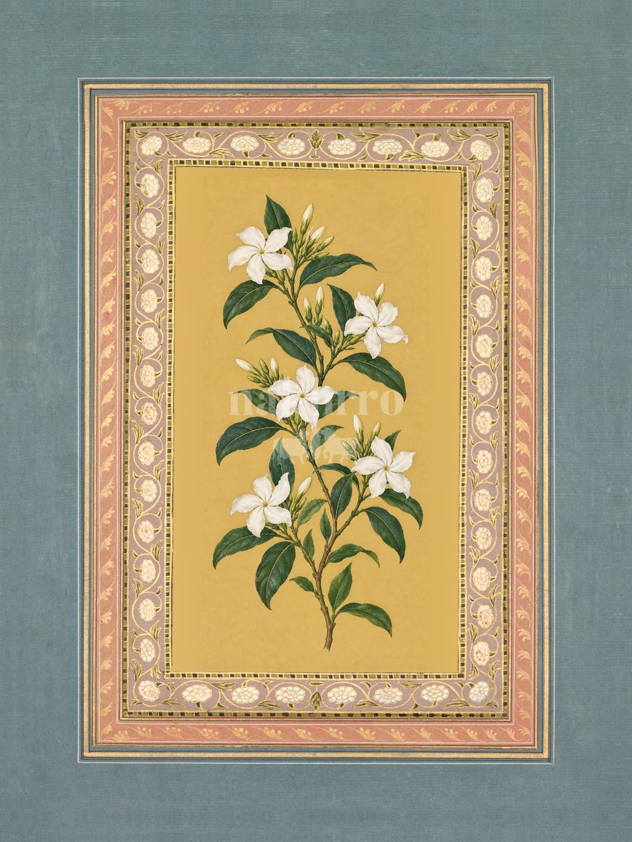 Chandni — Crepe Jasmine Mughal-inspired floral art print