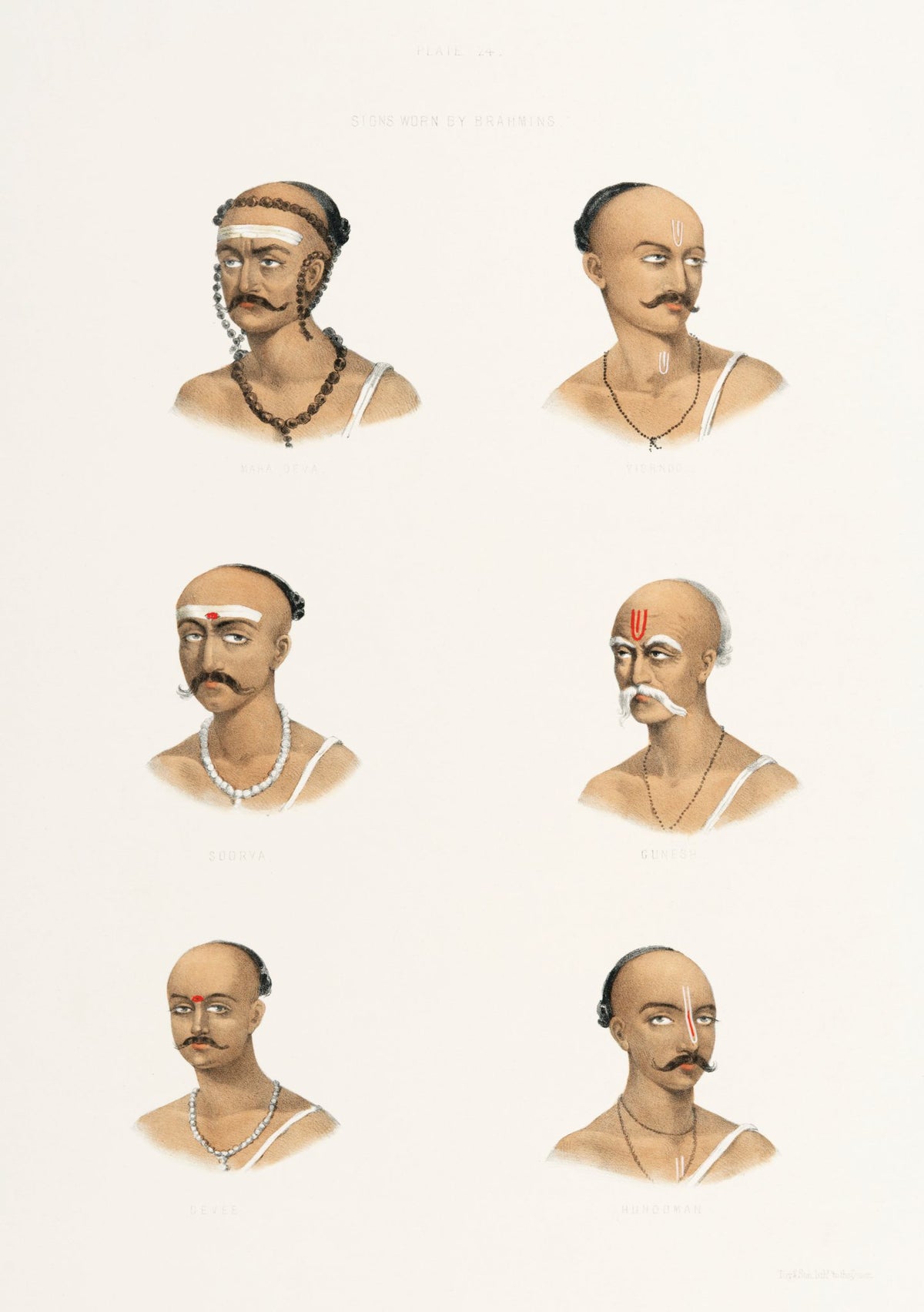 Six finely detailed male portraits display varied forehead markings, arranged as a measured study on an ivory page.
