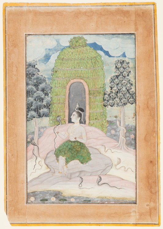 Lord Shiva in Forest Meditation
