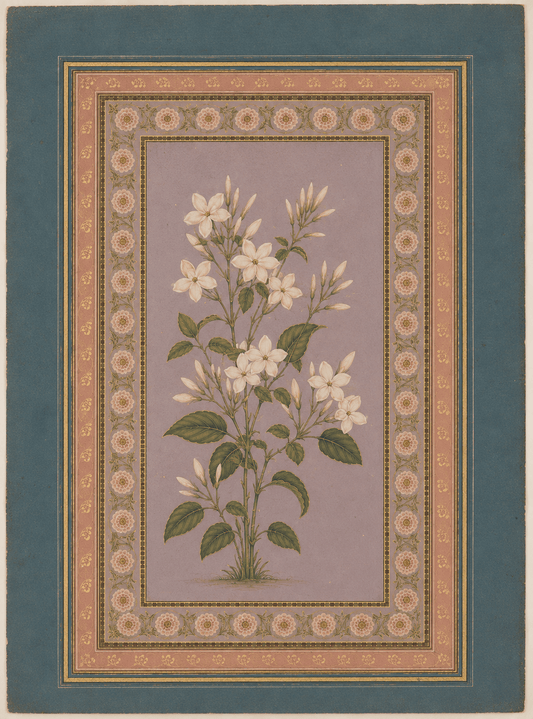 White Jasmine botanical miniature on lavender with ornate rose and teal borders
