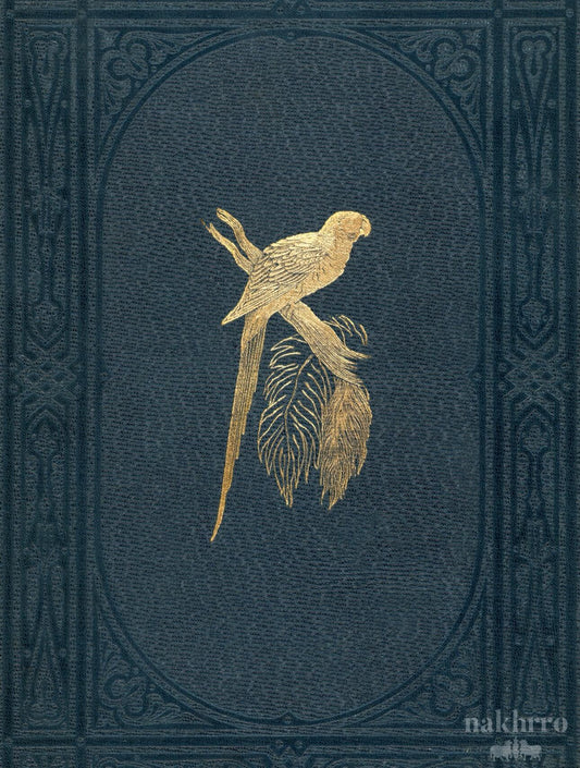 Gold Parakeet on Midnight Navy | Contemporary Indian Art Print | Luxury Wall Art for Bedroom and Living Room - Nakhrro