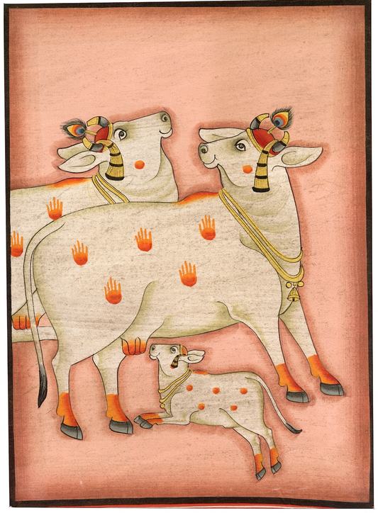 Kamdhenu Cows with Calf Nandini - Nakhrro