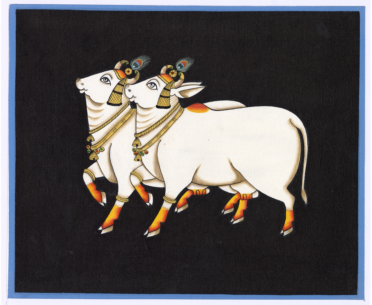 Pair Of Kamdhenu Cow - Nakhrro