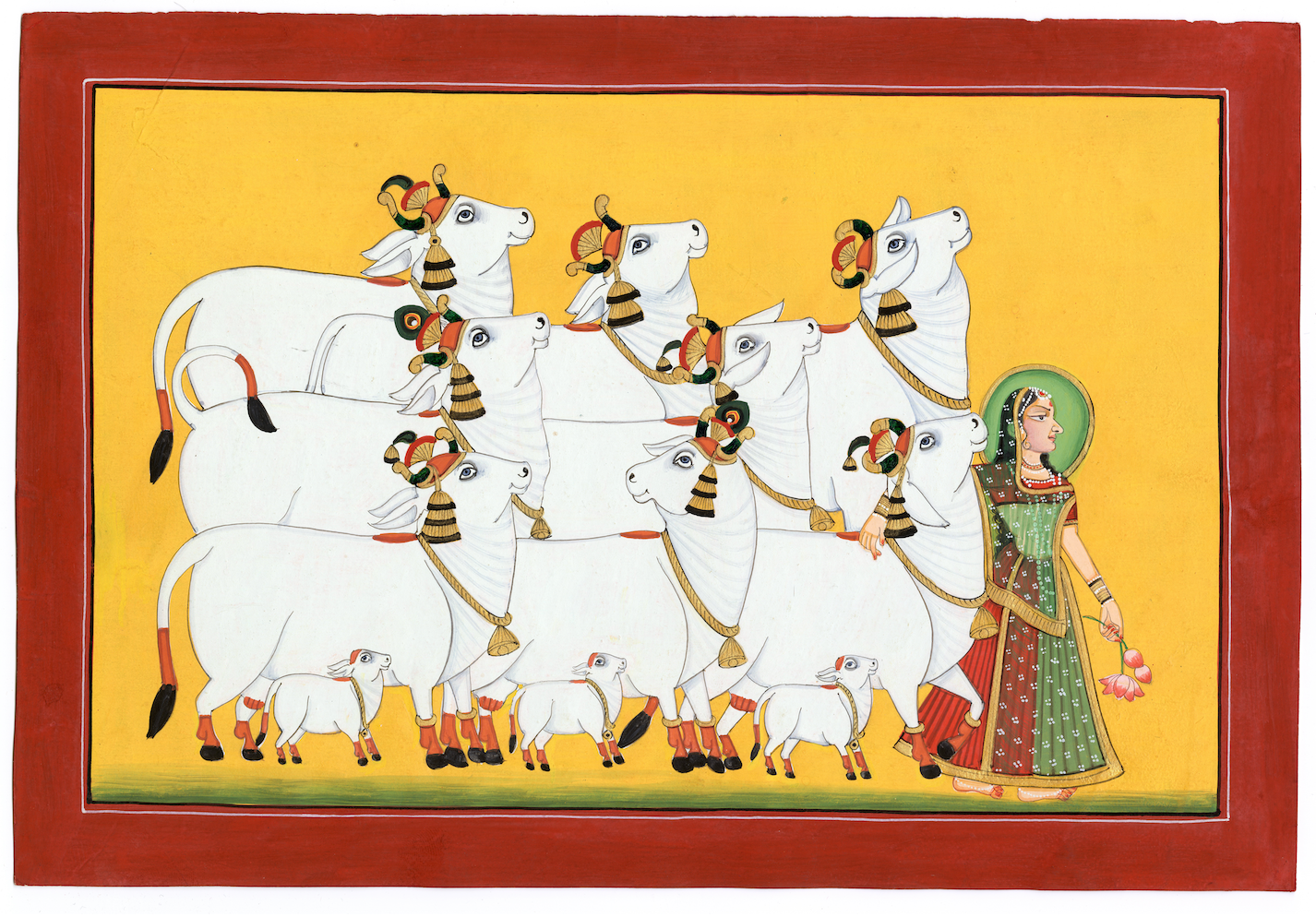Radha Ji With Cows Of Pichwai - Nakhrro