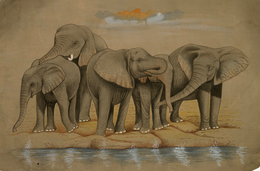 Joyful Elephant Bath - Nakhrro