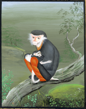 Baby Monkey's Safe Haven - Nakhrro