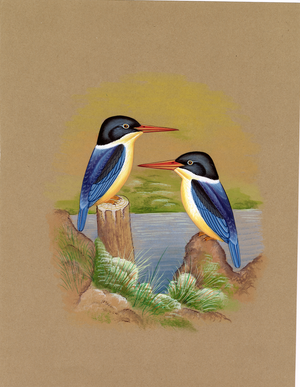 Kingfisher Bird - Nakhrro