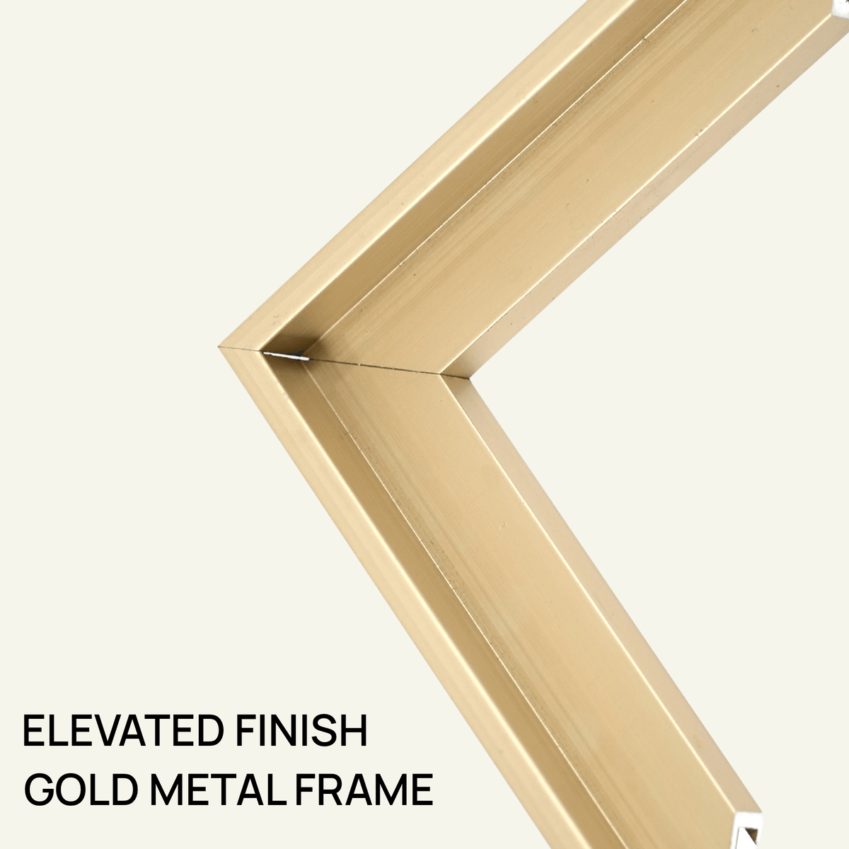 Nakhrro gold metal frame option