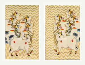 cow pair set | Nakhrro museum-grade archival print