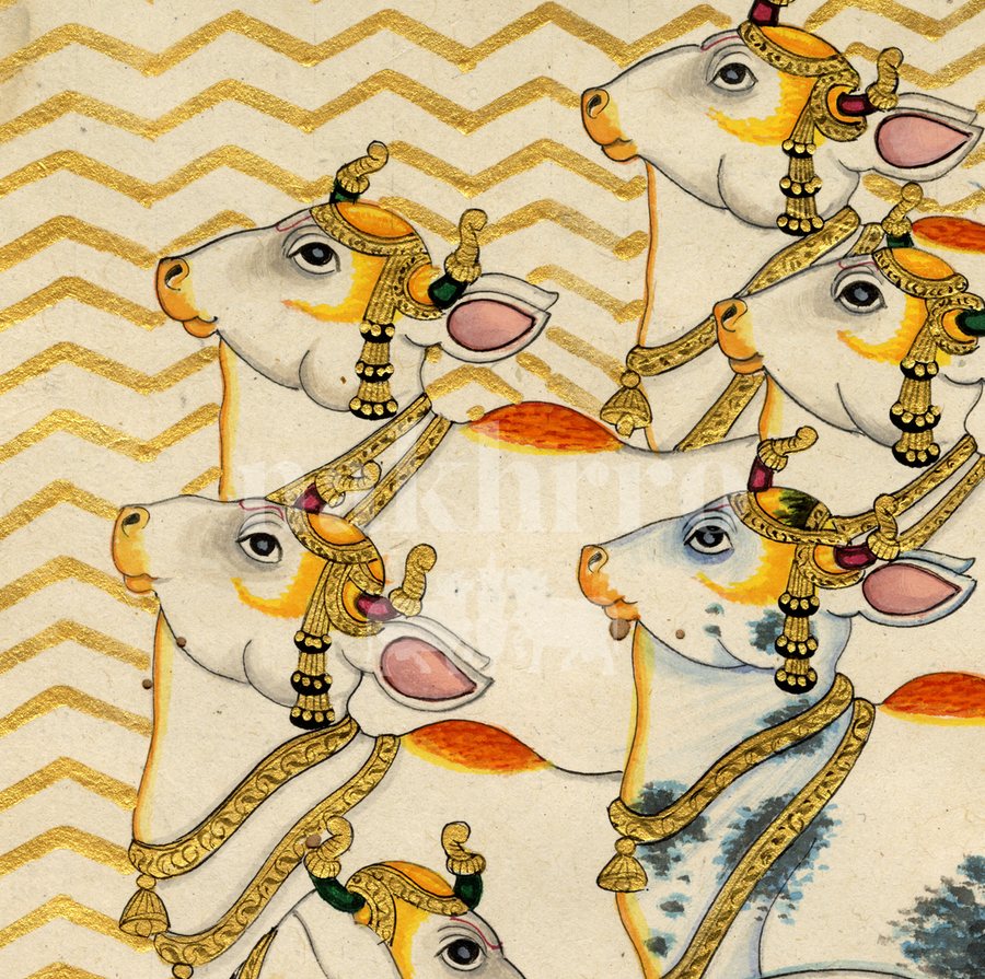 left facing sacred cows detail 1 | Nakhrro museum-grade archival print