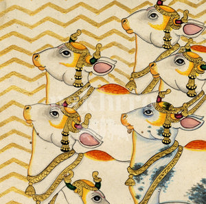 left facing sacred cows detail 1 | Nakhrro museum-grade archival print