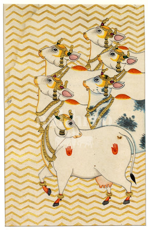 left facing sacred cows full | Nakhrro museum-grade archival print