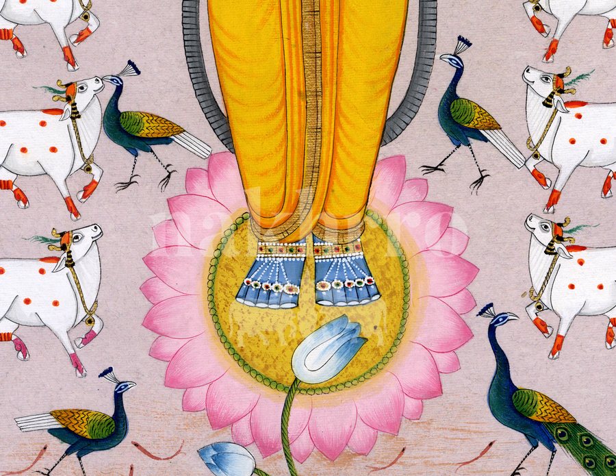 lotus shrinathji blush detail 2 | Nakhrro museum-grade archival print
