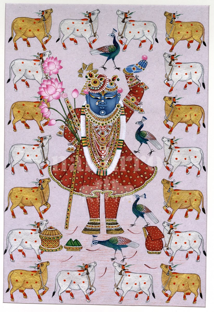 shrinathji cows blush full | Nakhrro museum-grade archival print