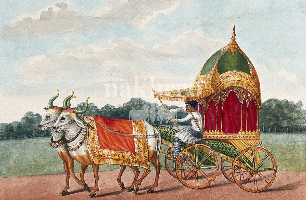 Ornate Indian bullock carriage drawn by two white oxen