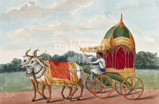 Ornate Indian bullock carriage drawn by two white oxen