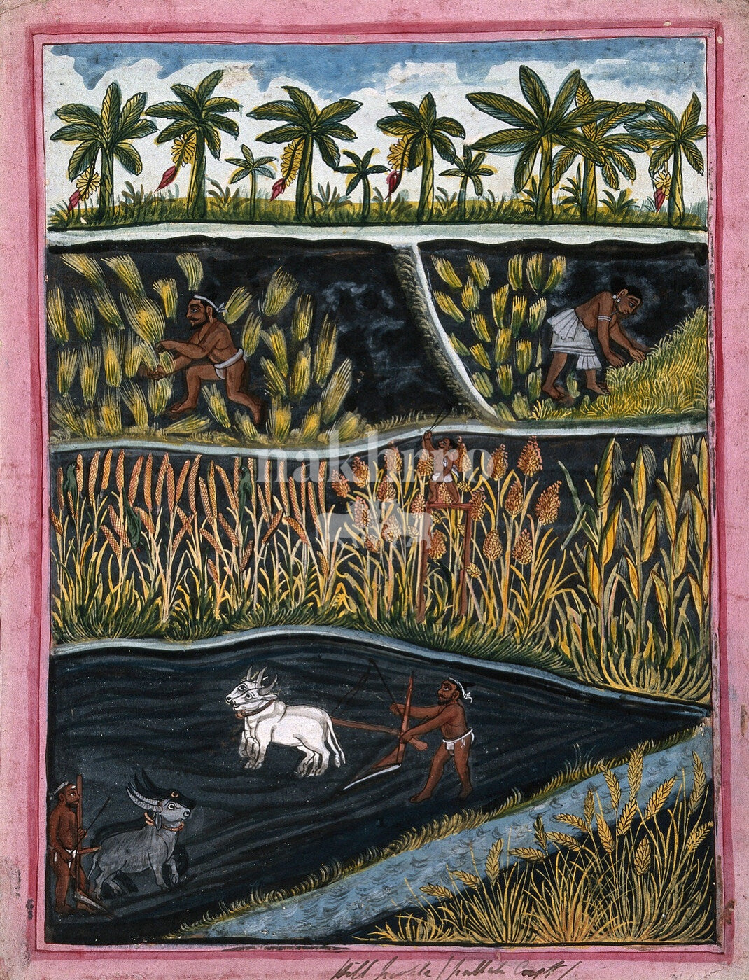 Rural Indian life across layered rice fields with farmers and animals