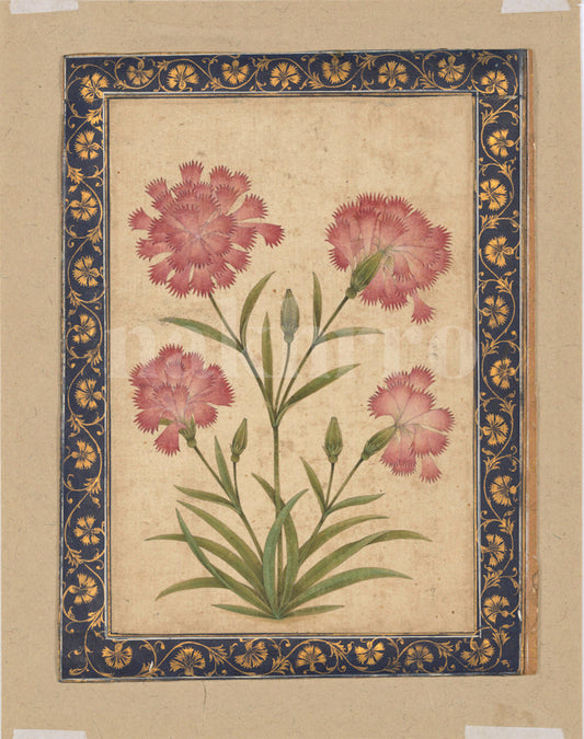 Mughal floral botanical miniature artwork