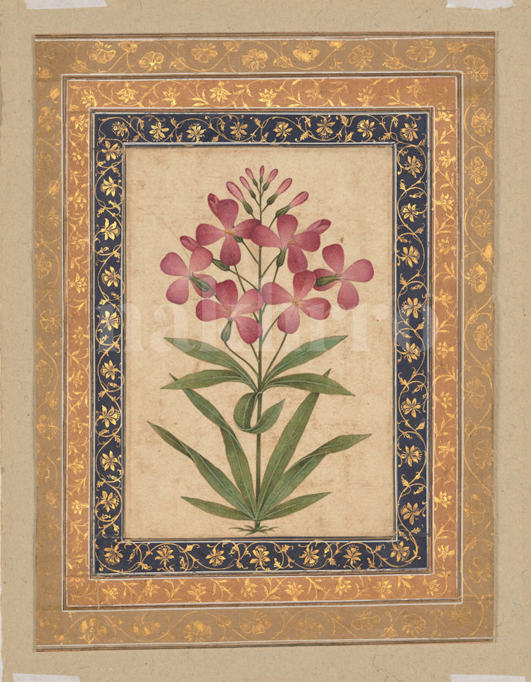 Mughal floral motifs botanical miniature artwork