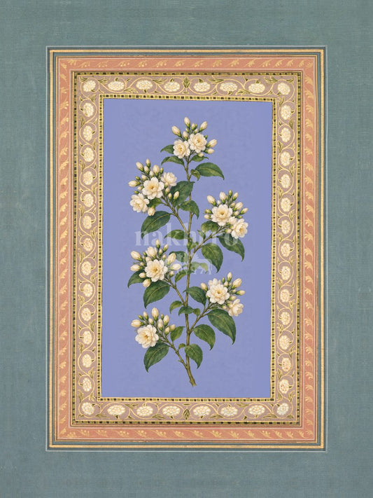 Mogra — Jasmine Mughal-inspired floral art print