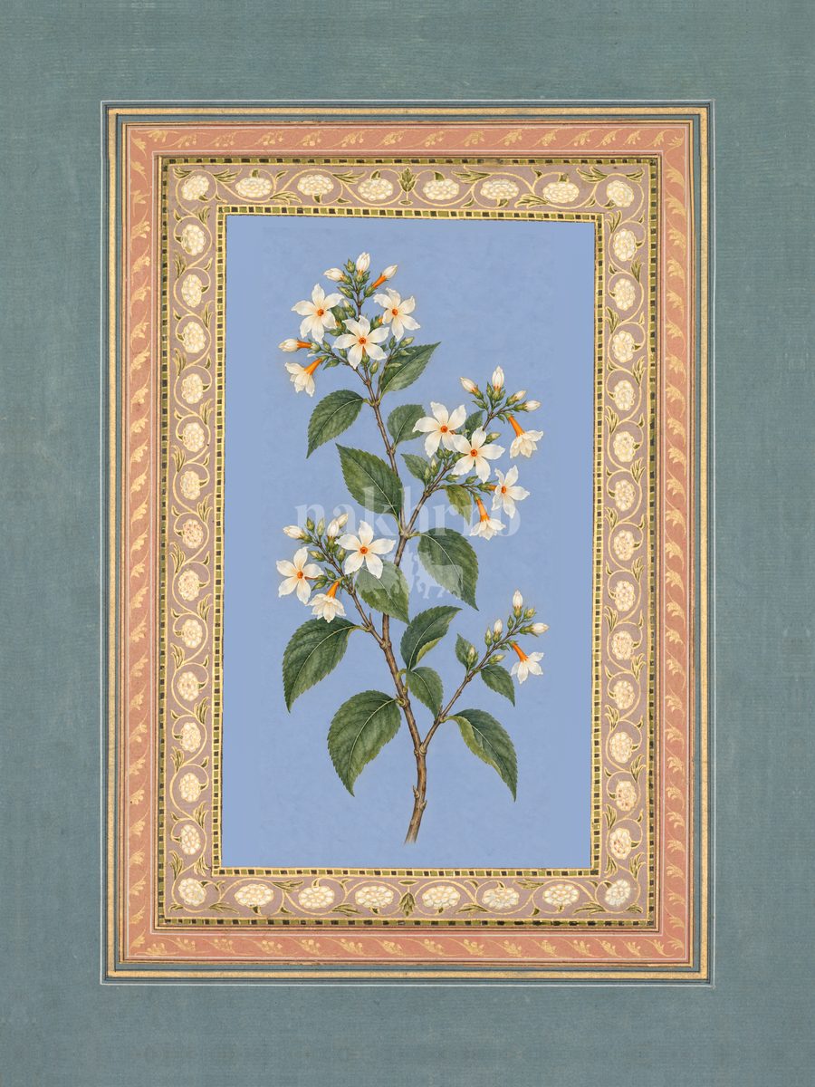 Harsingar — Night-flowering Jasmine Mughal-inspired floral art print