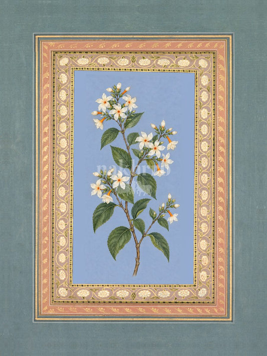 Harsingar — Night-flowering Jasmine Mughal-inspired floral art print