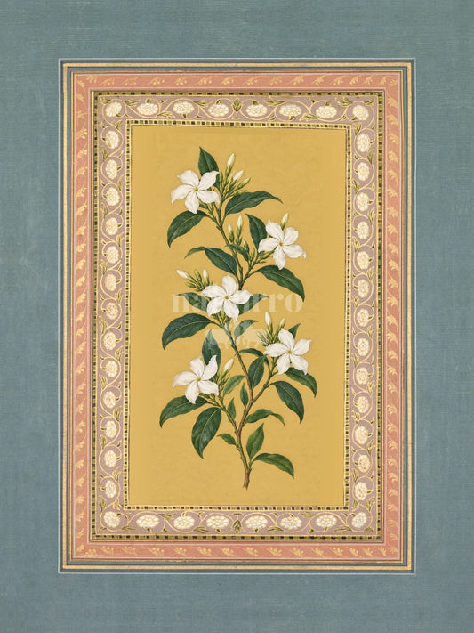 Chandni — Crepe Jasmine Mughal-inspired floral art print