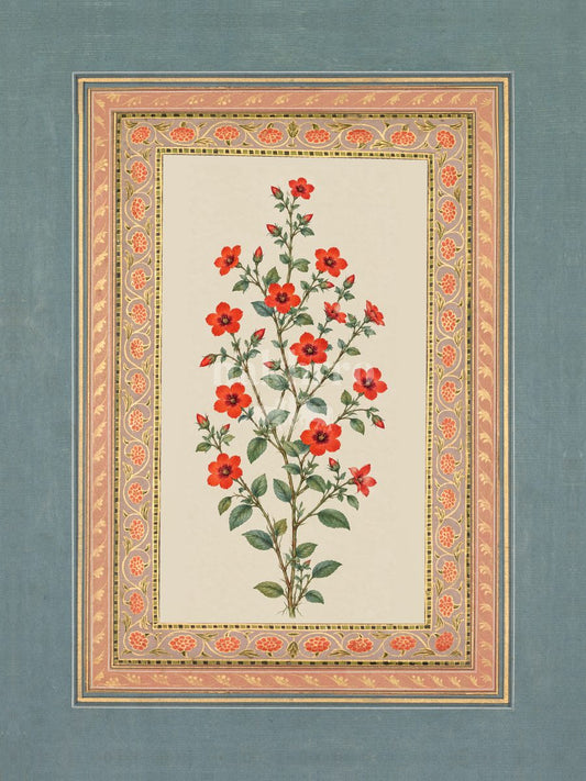 Surkh Bahaar — Scarlet Pimpernel Mughal-inspired floral art print
