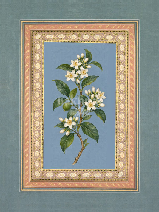 Narangi ke Phool — Orange Blossom Mughal-inspired floral art print