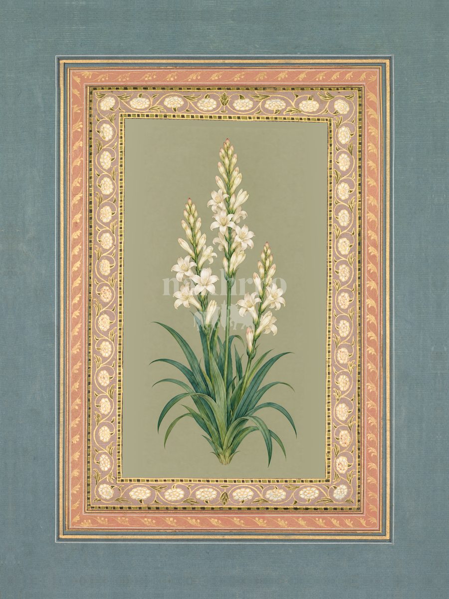Rajnigandha — Tuberose Mughal-inspired floral art print