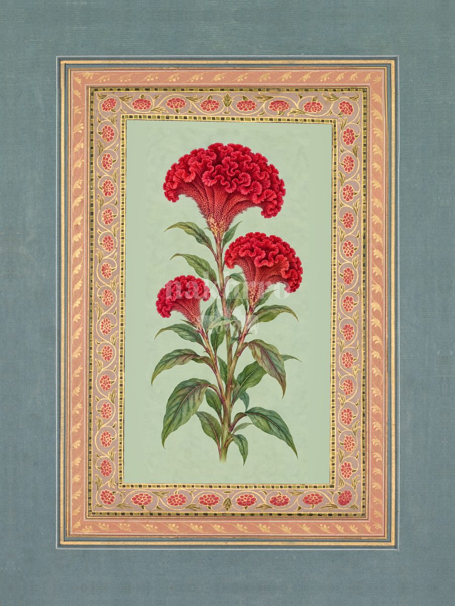 Laal Kalgi — Cockscomb Mughal-inspired floral art print