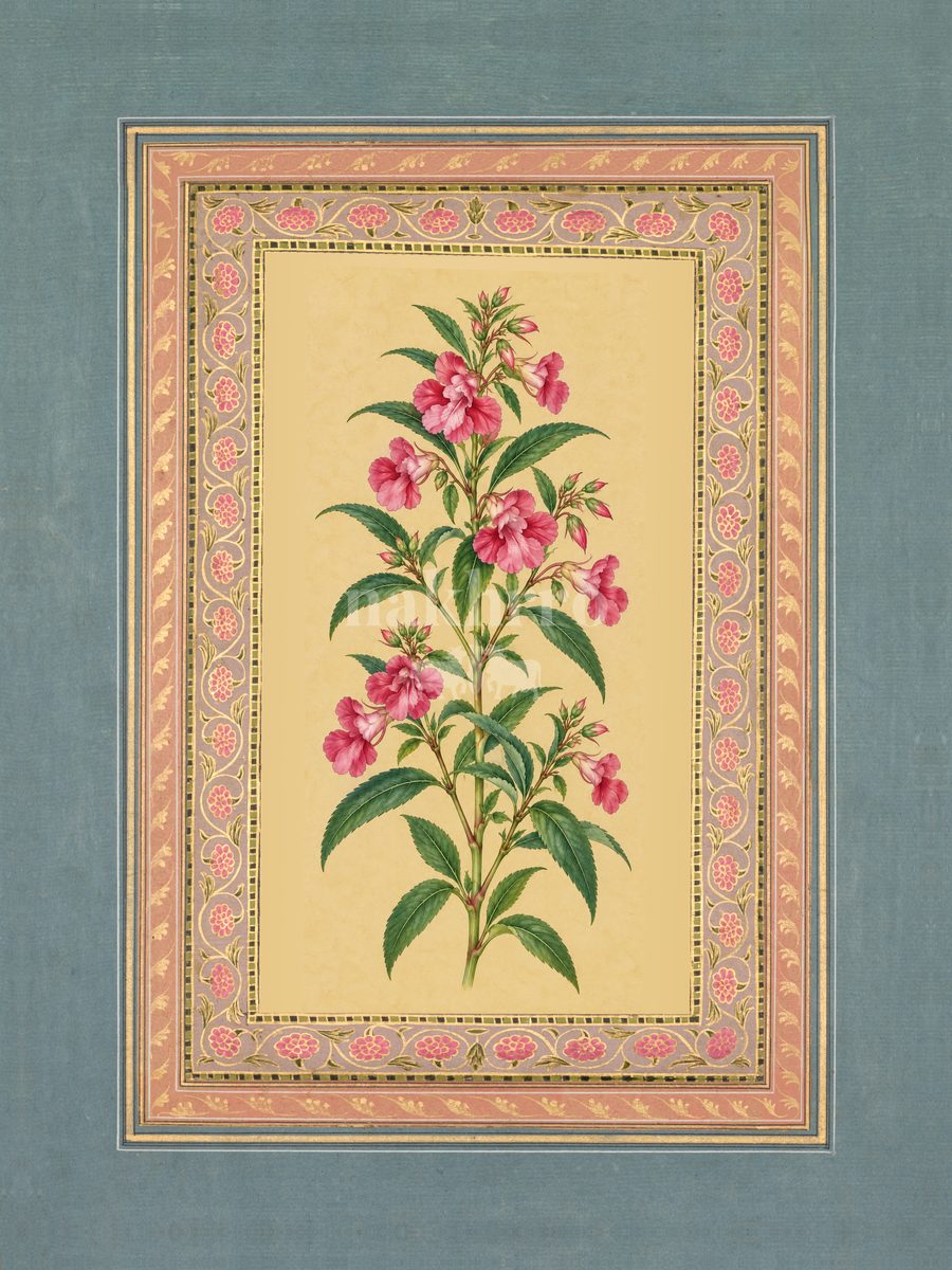 Gulabi Rang — Rose Balsam Mughal-inspired floral art print