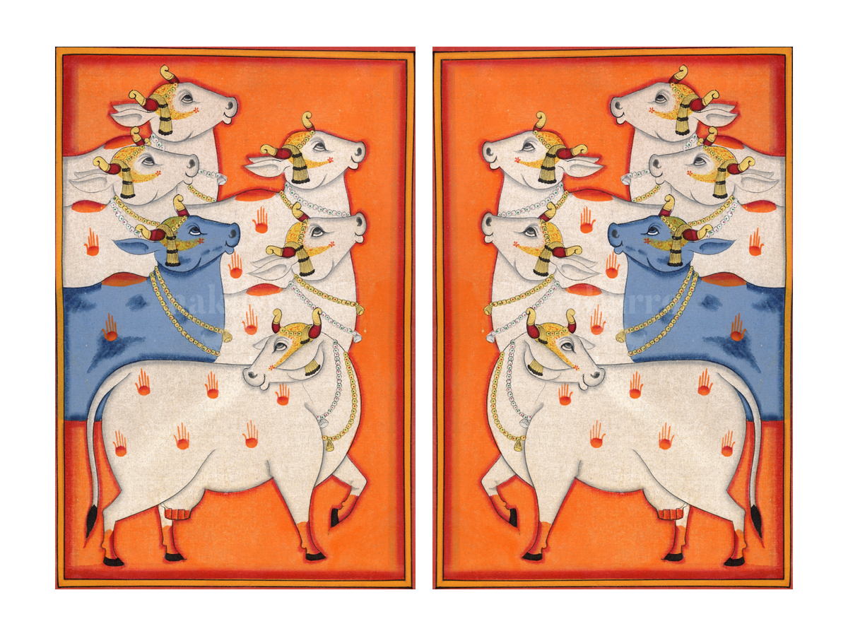 Orange Cows Pichwai gallery wall set of two